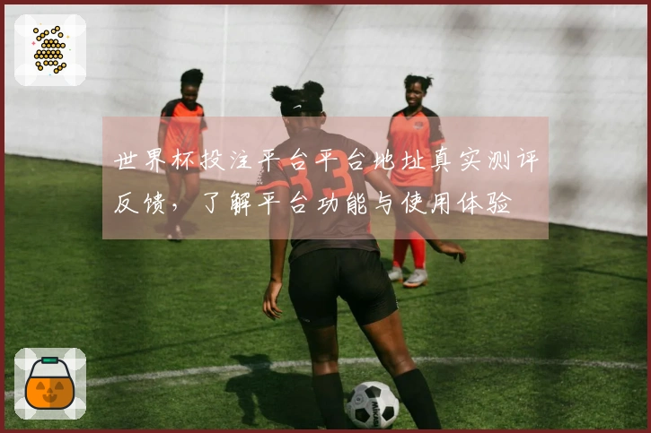 世界杯投注平台平台地址真实测评反馈，了解平台功能与使用体验