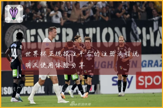 世界杯正规投注平台的注册流程说明及使用体验分享