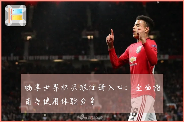 畅享世界杯买球注册入口：全面指南与使用体验分享