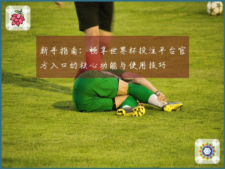 新手指南：畅享世界杯投注平台官方入口的核心功能与使用技巧
