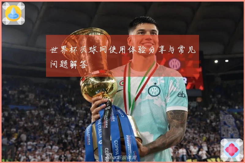 世界杯买球网使用体验分享与常见问题解答