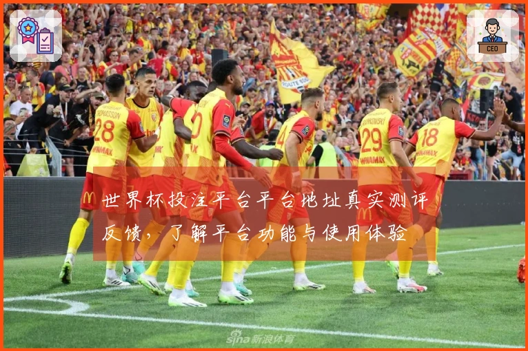 世界杯投注平台平台地址真实测评反馈，了解平台功能与使用体验