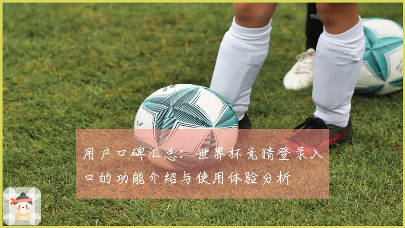 用户口碑汇总：世界杯竞猜登录入口的功能介绍与使用体验分析