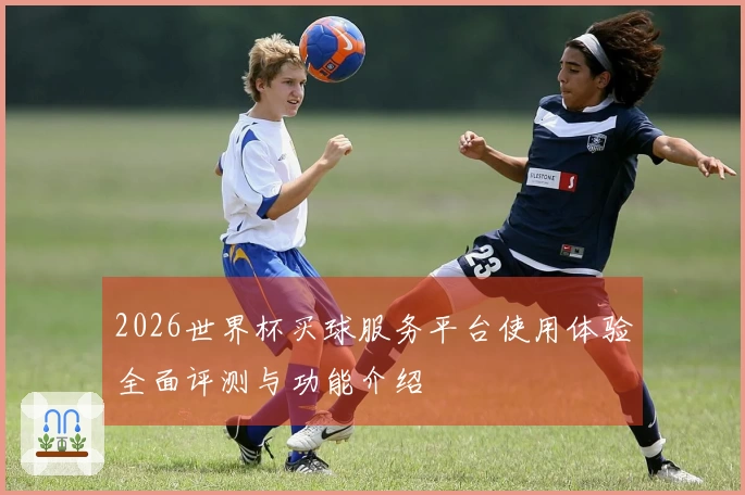 2026世界杯买球服务平台使用体验全面评测与功能介绍