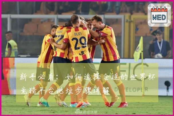 新手必看：如何选择合适的世界杯竞猜平台地址步骤详解