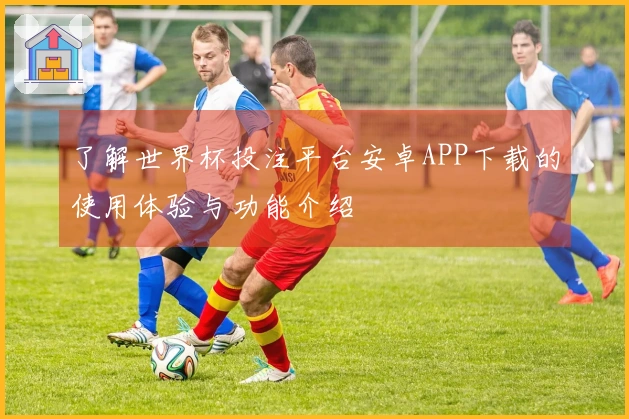 了解世界杯投注平台安卓APP下载的使用体验与功能介绍