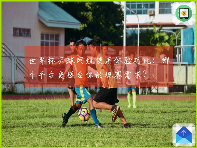 世界杯买球网址使用体验对比：哪个平台更适合你的观赛需求？