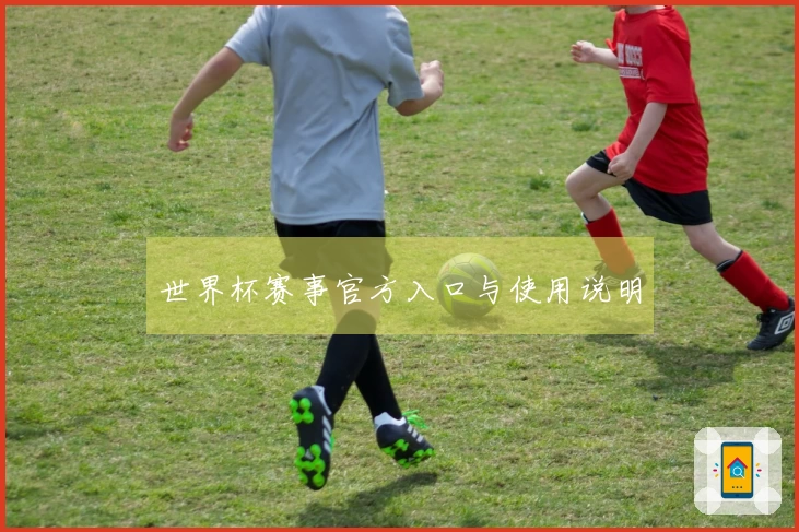世界杯赛事官方入口与使用说明