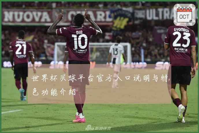 世界杯买球平台官方入口说明与特色功能介绍