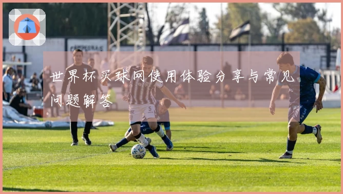 世界杯买球网使用体验分享与常见问题解答