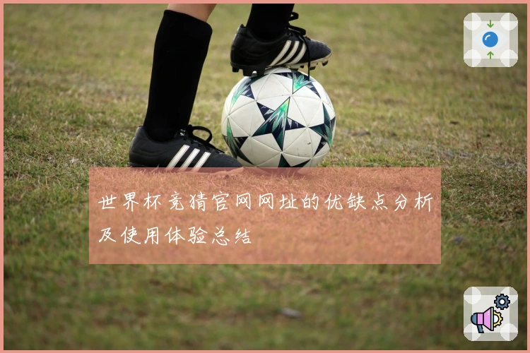 世界杯竞猜官网网址的优缺点分析及使用体验总结